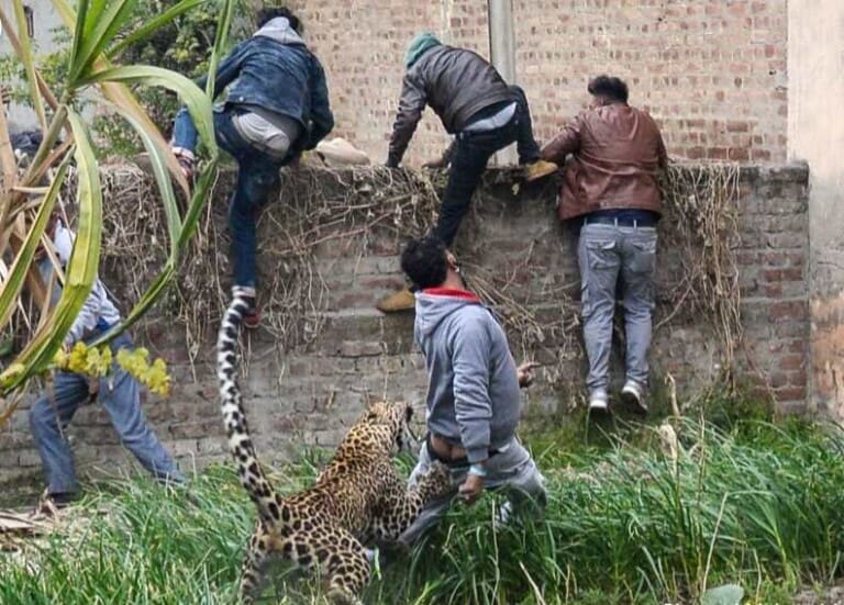 Shabeel dagaal socday muddo 6 saacadood ah ku qaaday Magaalo ku taalla Dalka India [Sawirro+ Video]