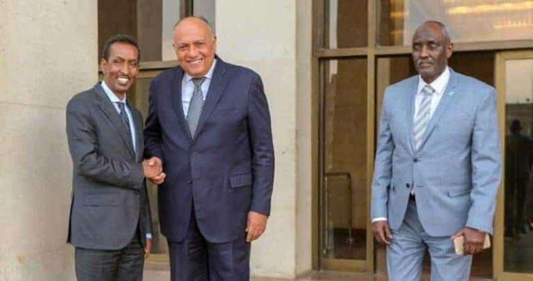 Soomaaliya oo Maanta la wareegaysa Guddoominta Golayaasha Ururka Jaamacadda Carabta