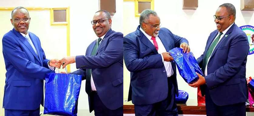 Deni-Waare-Laftagareen