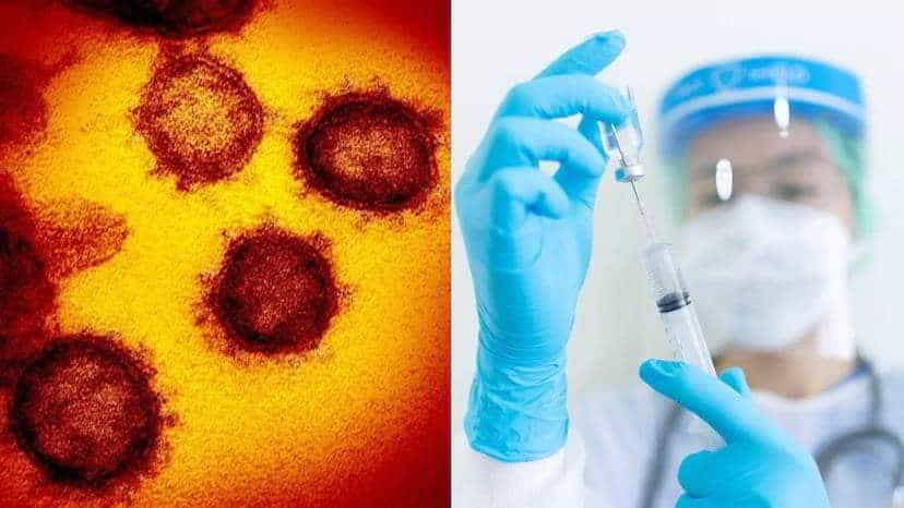 Ivermectin-for-coronavirus