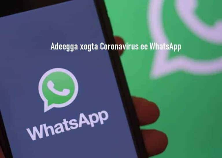 Wasaaradda Caafimaadka oo Daah furtay Adeegga xogta Coronavirus ee WhatsApp