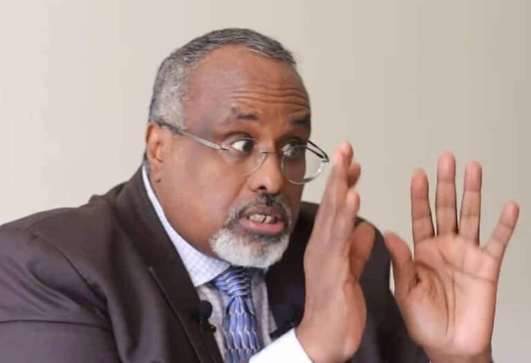 Waare: “Dowladda ‘Farmaajo’ waa Federaal-diid dooneysa in Ciddii Xisbigooda ah kaliya noolaato” (Daawo)