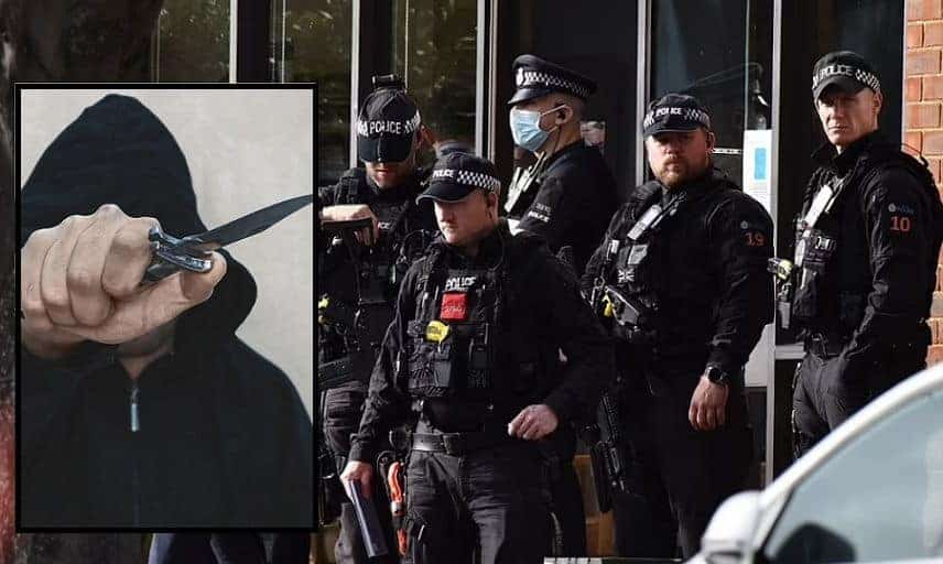 Somali-British-killed-Essex-MP