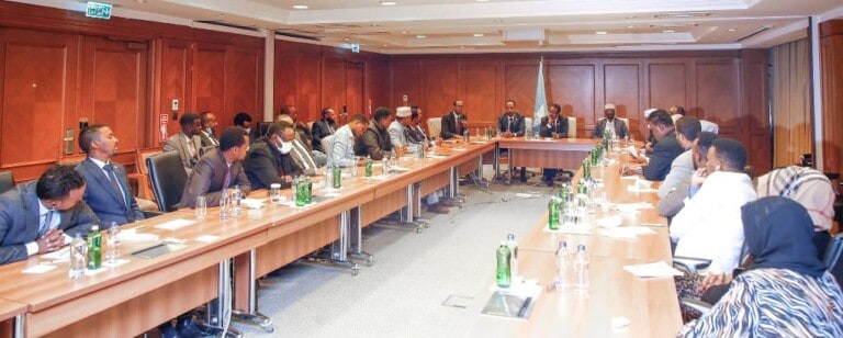 Farmaajo oo Istanbul kula kulmay Dad kooban oo ka mida jaaliyadda Soomaalida iyo sababta