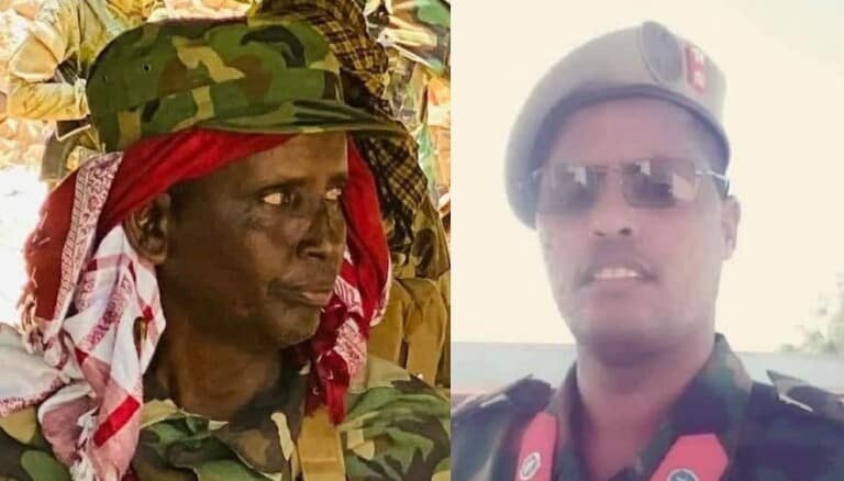 Akhriso: Magacyada Saraakiisha Sare ee Alshabaab ku dishay dagaalkii Cadakibir