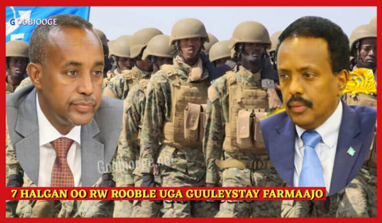 7 Qodob oo RW Rooble uga guuleystay Farmaajo iyo Halka Arrin ee uu ku fashilmay (Faaqidaad)