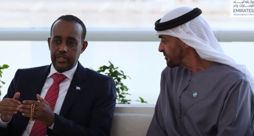 Roble-Mohamed-Bin-Zayid