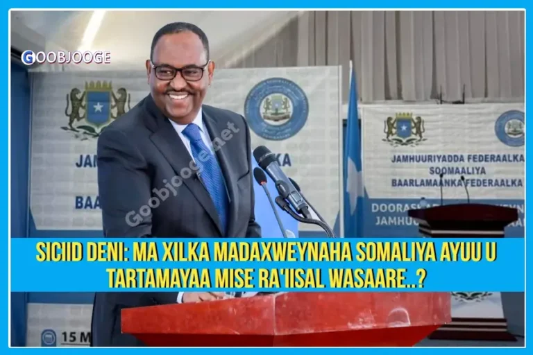Siciid Deni: Ma Xilka Madaxweynaha Somaliya ayuu u tartamayaa mise Ra’iisal Wasaare..?