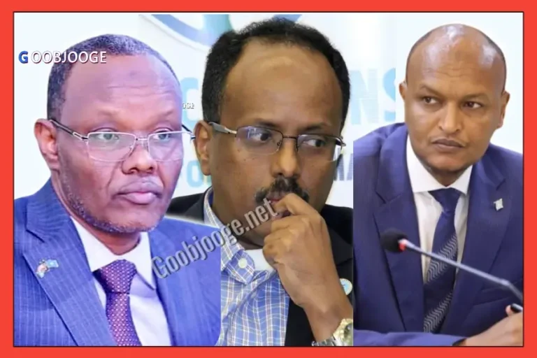 XOG: Halis Farmaajo kasoo wajahday Xildhibaannada Laba Beel oo Codadkooda uu ku tashanayey