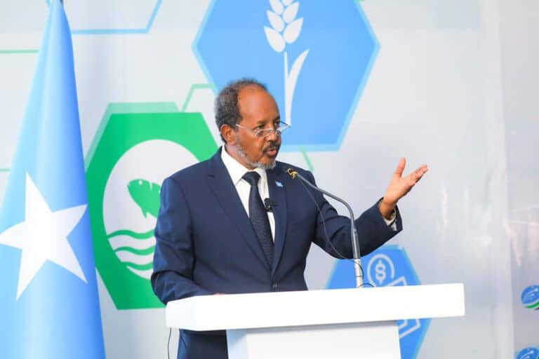 Xasan Sheekh: “Waxaan dhiirigelinayaa maalgashiga Dalkayga, haddana caqabada argagixisada..”,