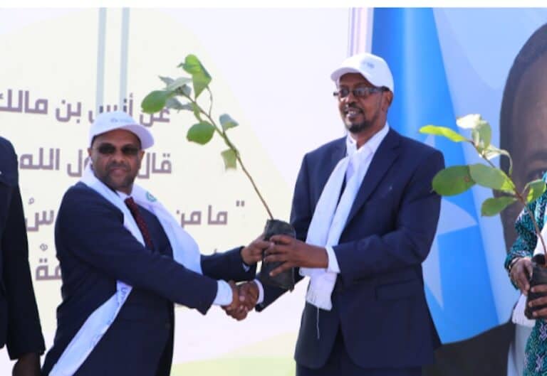 Jaamacadda UPEACE oo 100-Kun oo Dhir ah ugu deeqday Hindisaha Dib u Cagaareynta Somaliya