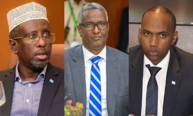 16 Siyaasi iyo Madax hore oo Qoraal dheer oo Digniin ah u diray Madaxweyne Xasan Sheekh